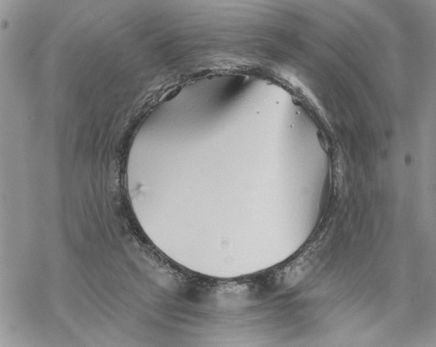 X0000069830257200606091453