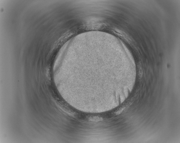 X0000069830258200606091453