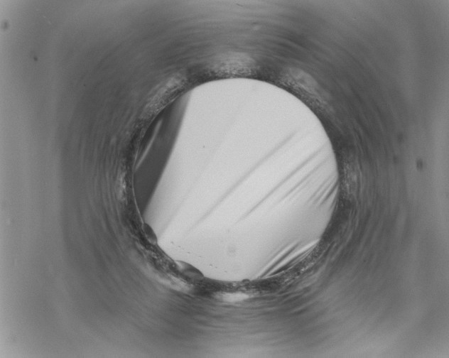 X0000069830259200606091453