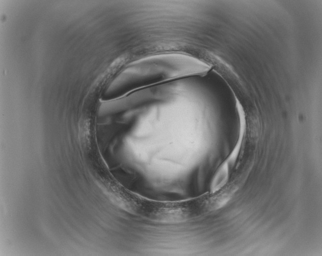 X0000069830260200606091453