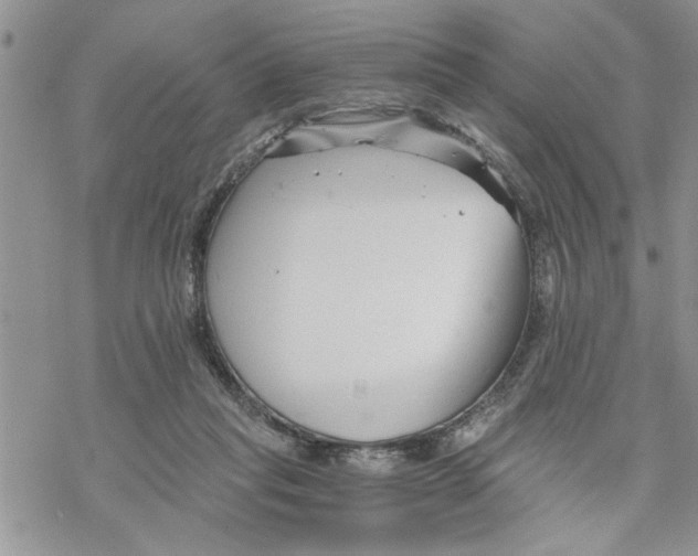 X0000069830261200606091453