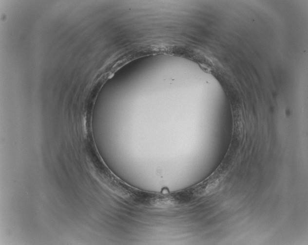 X0000069830262200606091453