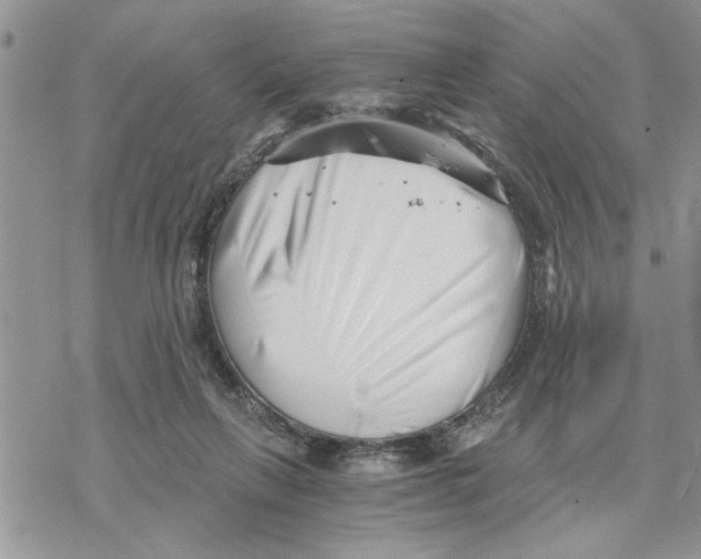 X0000069830263200606091453