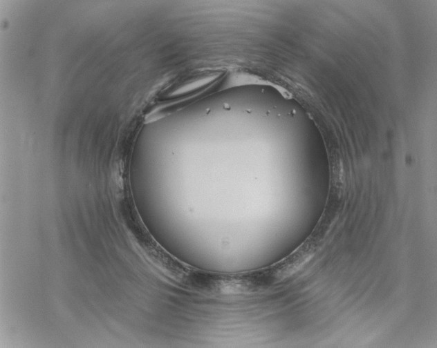 X0000069830264200606091453