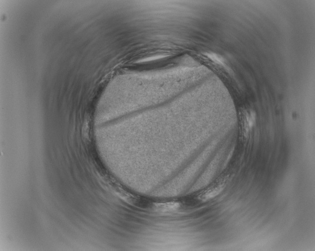 X0000069830266200606091453