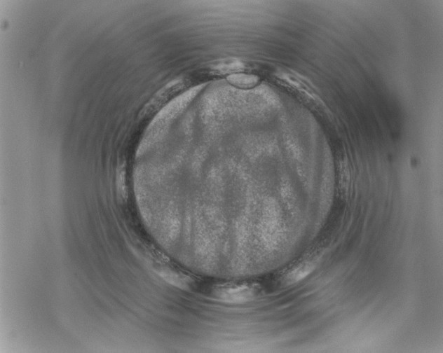 X0000069830267200606091453