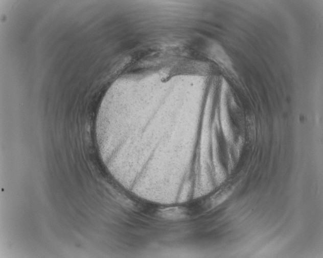 X0000069830269200606091453