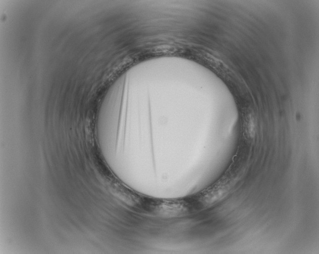 X0000069830270200606091453