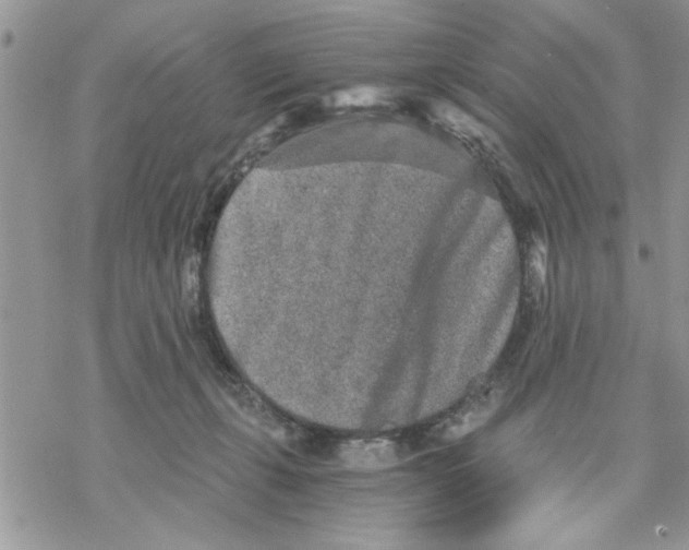 X0000069830271200606091453