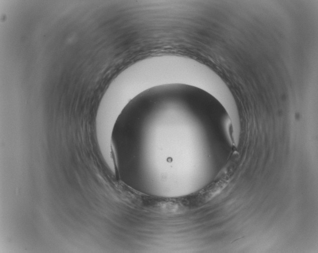 X0000069830272200606091453