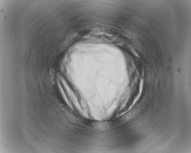 X0000069830273200606091453