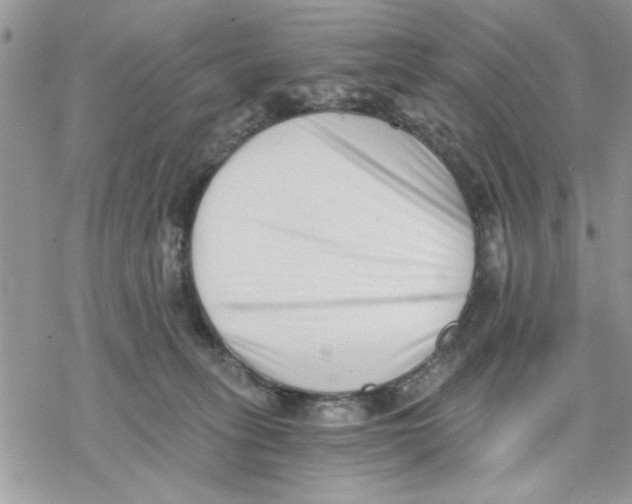 X0000069830275200606091453