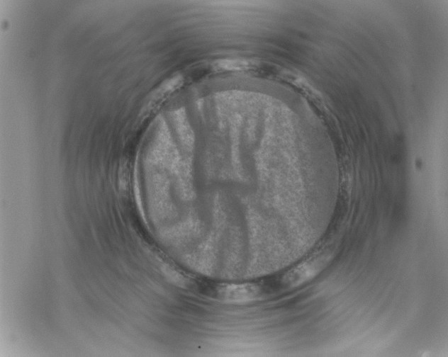 X0000069830277200606091453