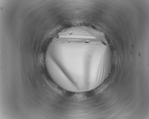 X0000069830280200606091453