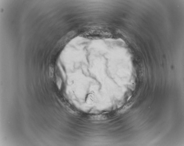 X0000069830281200606091453