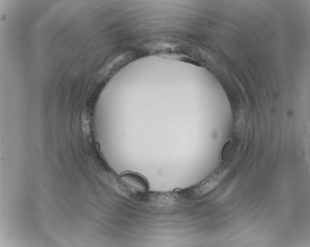 X0000069830282200606091453