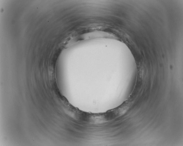 X0000069830283200606091453