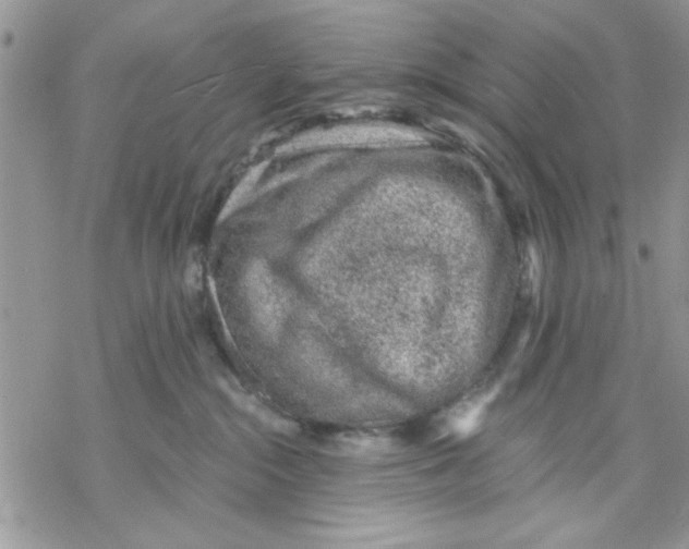 X0000069830284200606091453