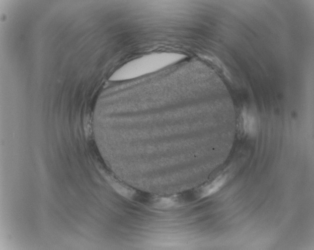 X0000069830285200606091453