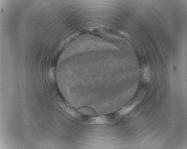 X0000069830286200606091453