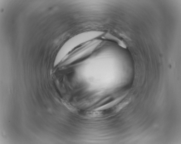 X0000069830288200606091453