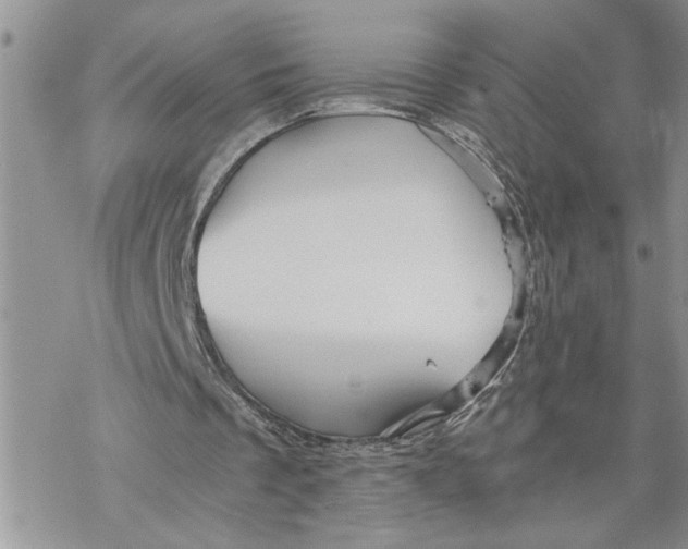 X0000069830289200606091453