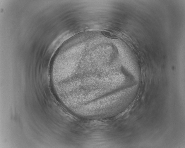 X0000069830290200606091453