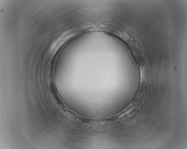 X0000069830291200606091453