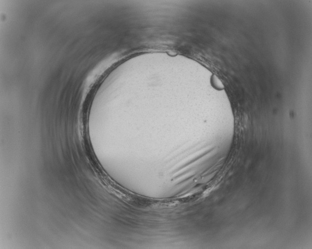 X0000069830294200606091452