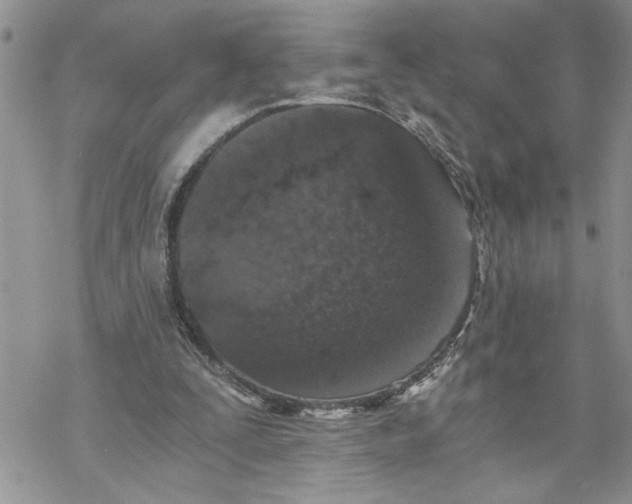 X0000069830295200606091452