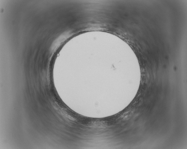 X0000069830296200606091452