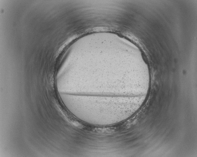 X0000069830297200606091452