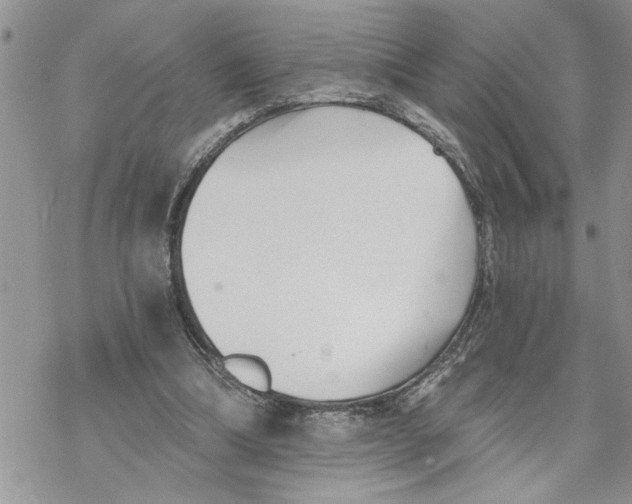 X0000069830298200606091452