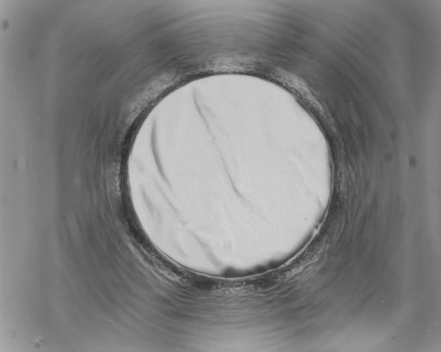 X0000069830299200606091452