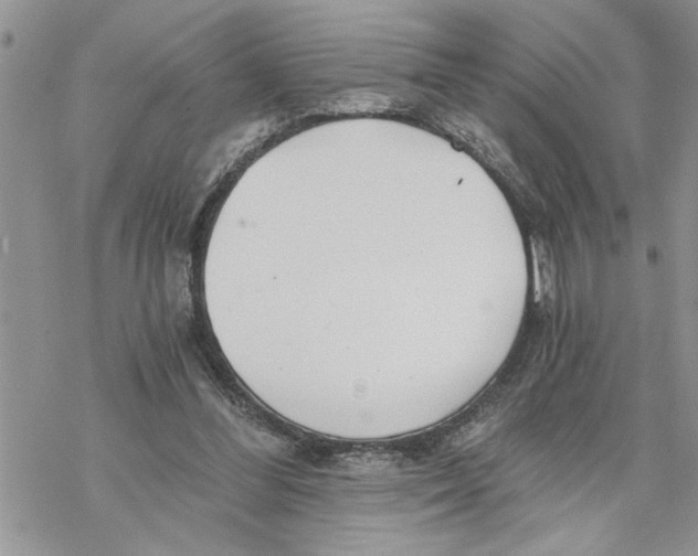 X0000069830300200606091452