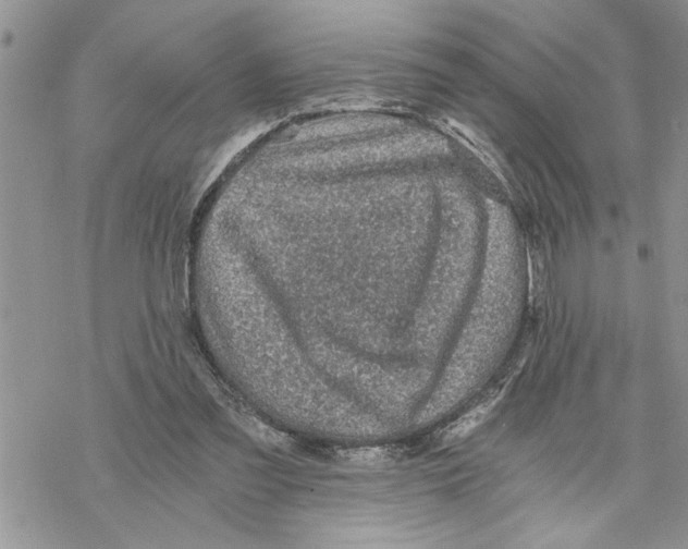 X0000069830301200606091452