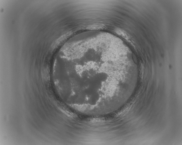 X0000069830303200606091452