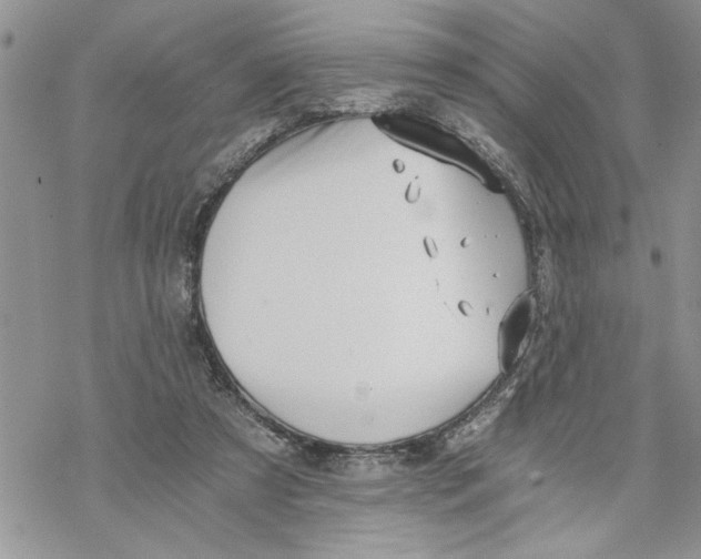 X0000069830305200606091452