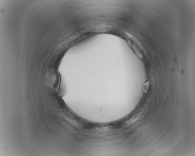 X0000069830307200606091452