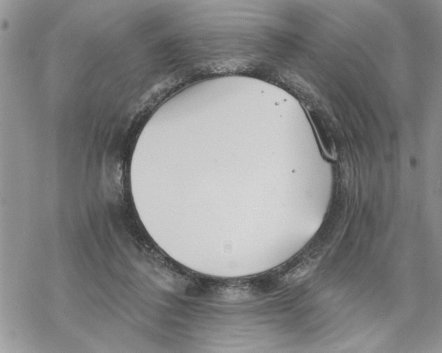 X0000069830308200606091452