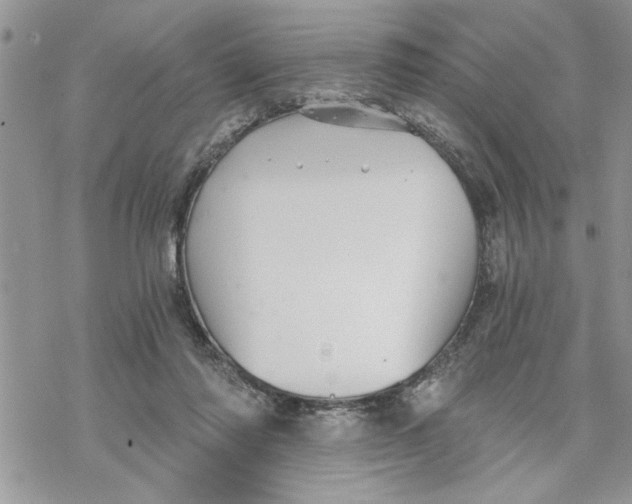 X0000069830310200606091452