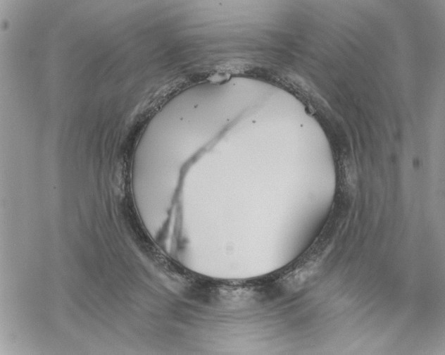 X0000069830311200606091452