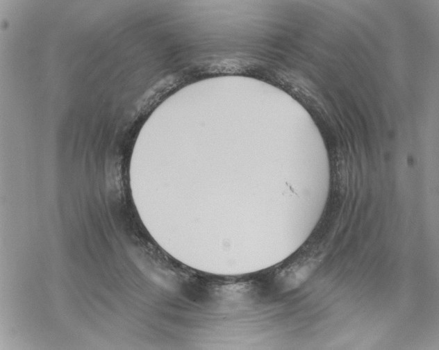 X0000069830312200606091452