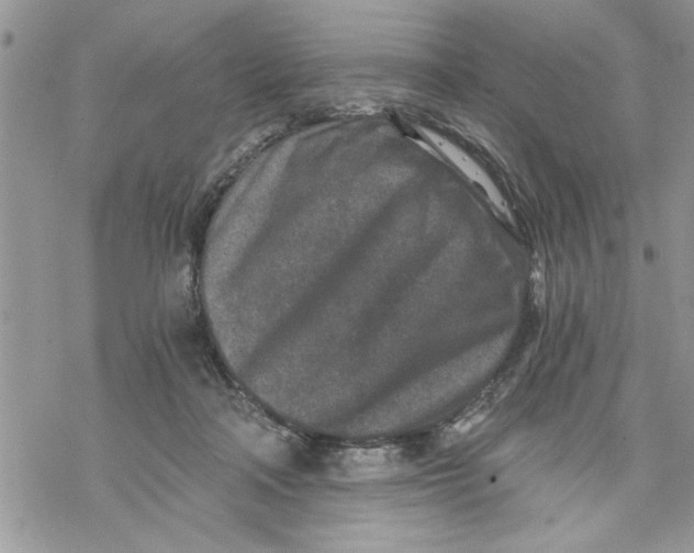 X0000069830314200606091452