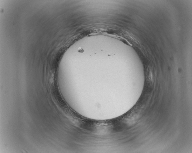 X0000069830315200606091452