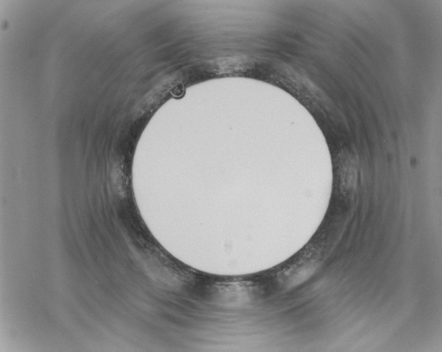 X0000069830316200606091452