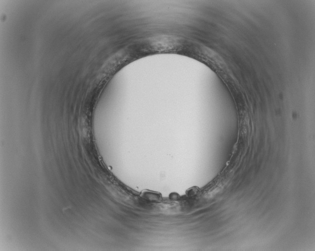 X0000069830317200606091452