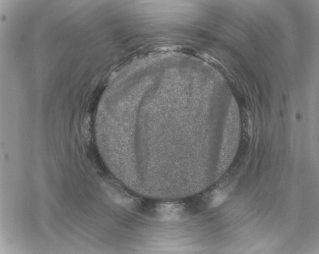 X0000069830319200606091452