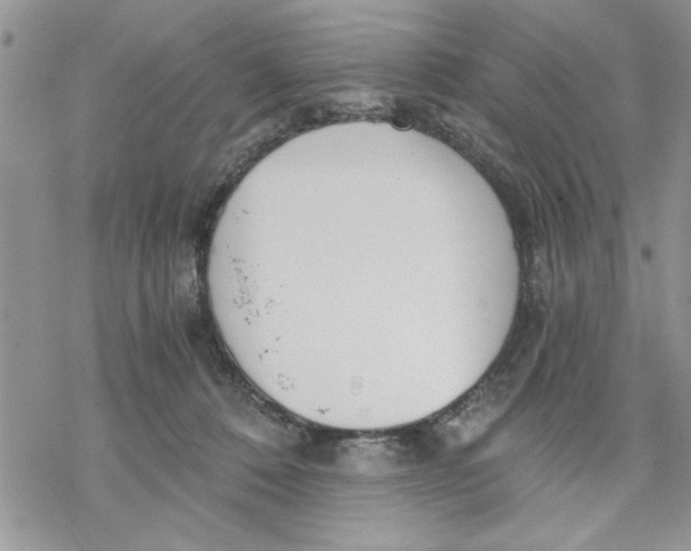 X0000069830320200606091452