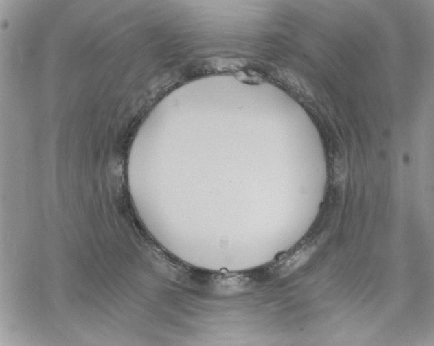 X0000069830321200606091452